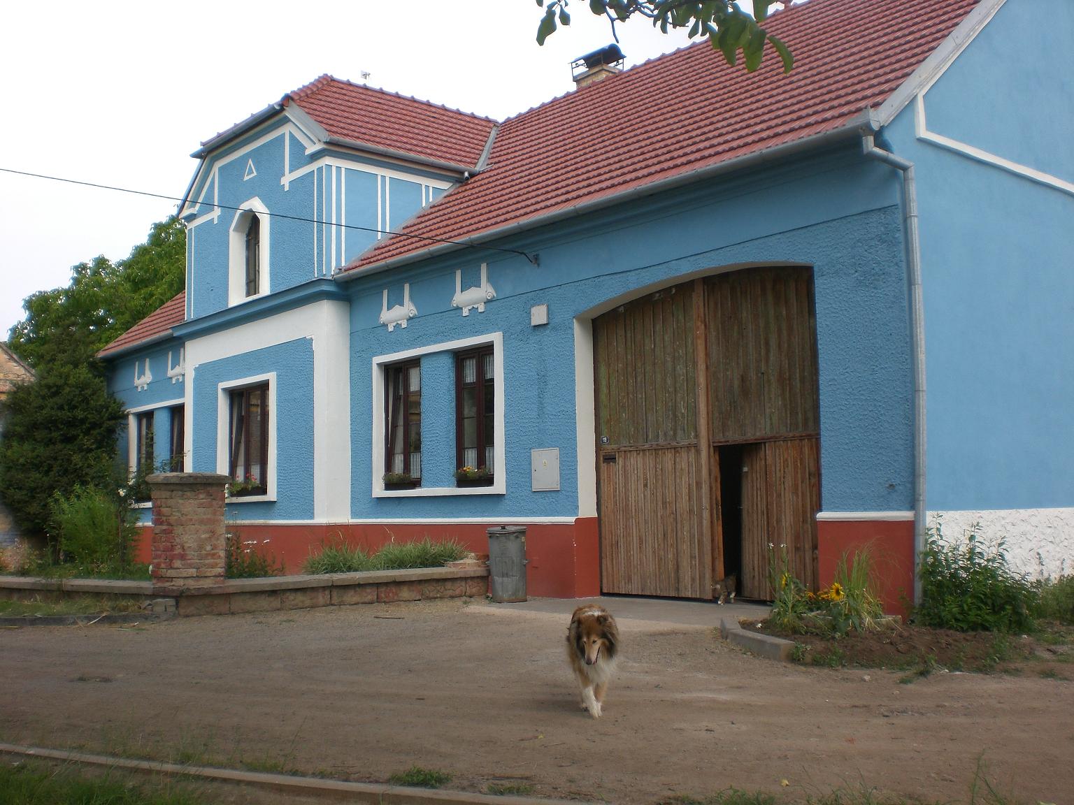 CIMG4531.JPG