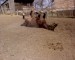 DSC00188.JPG